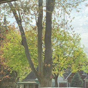 Meet your Posher, Sue